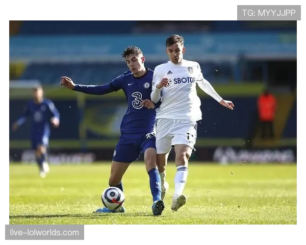 利兹联1-0埃弗顿，升班马主场取胜，埃弗顿保级压力增大