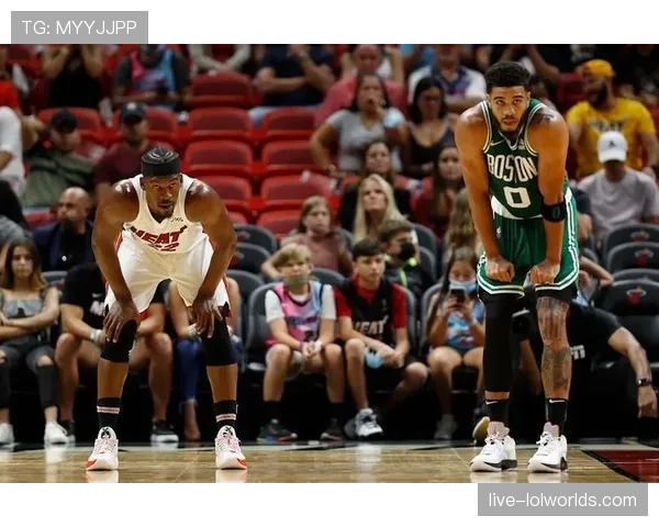 凯尔特人主场战国王,布朗伤情影响布局 凯尔特人主场战国王,布朗伤情影响布局