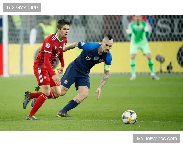 下届世锦赛举办国匈牙利-斯洛伐克公布赛事Logo和口号 下届世锦赛举办国匈牙利-斯洛伐克公布赛事Logo和口号